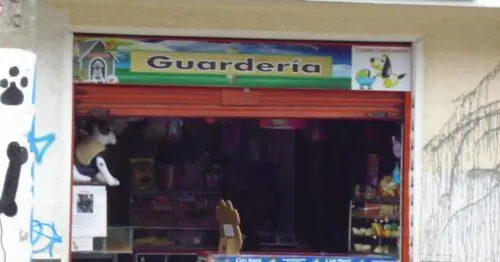 PET SHOP PA´PILLOS PET SHOP PA´PILLOS
